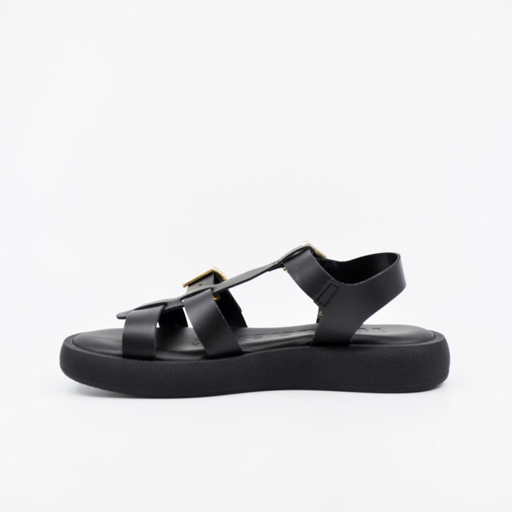Wonders AB-1012 black
