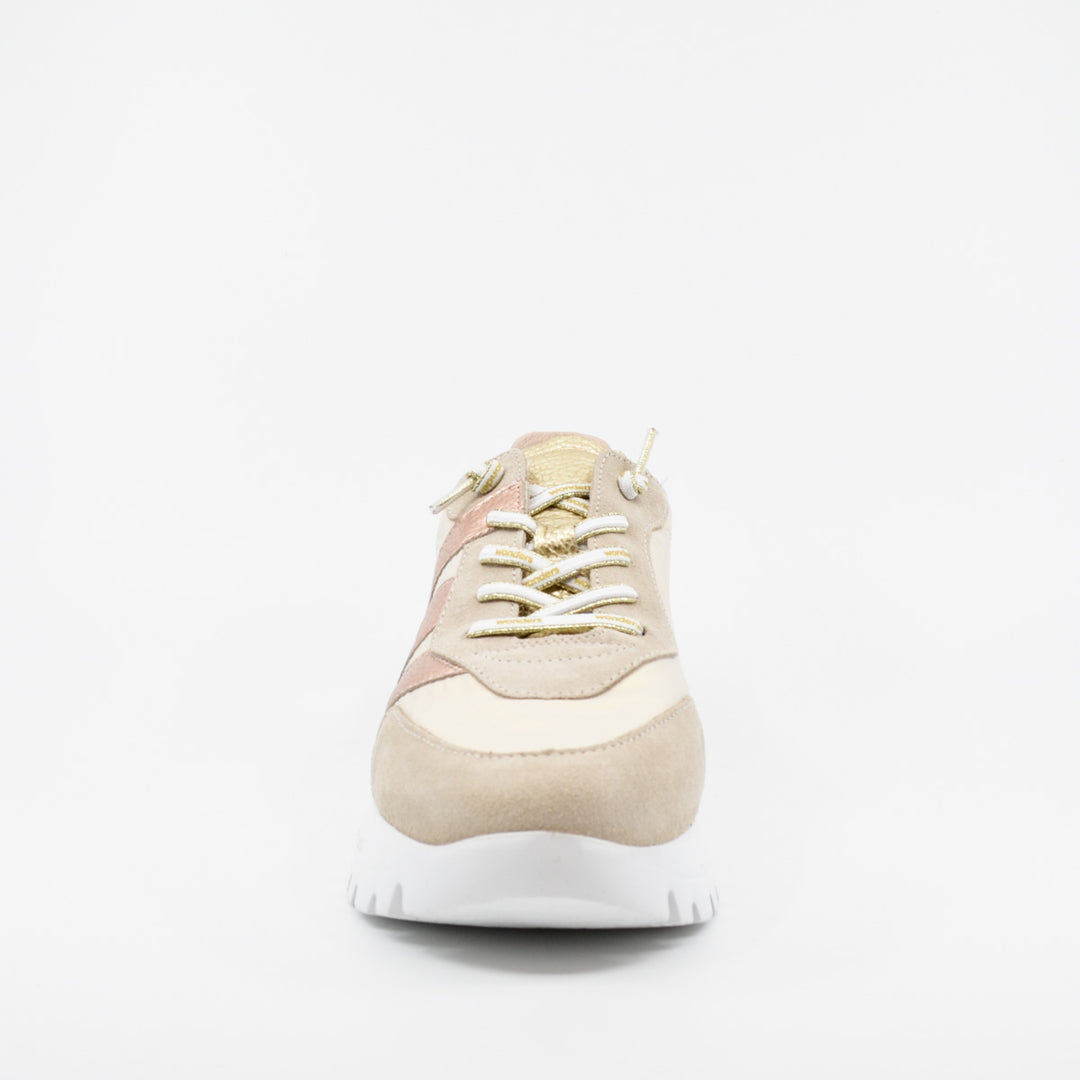 Wonders A-2464 beige & rose