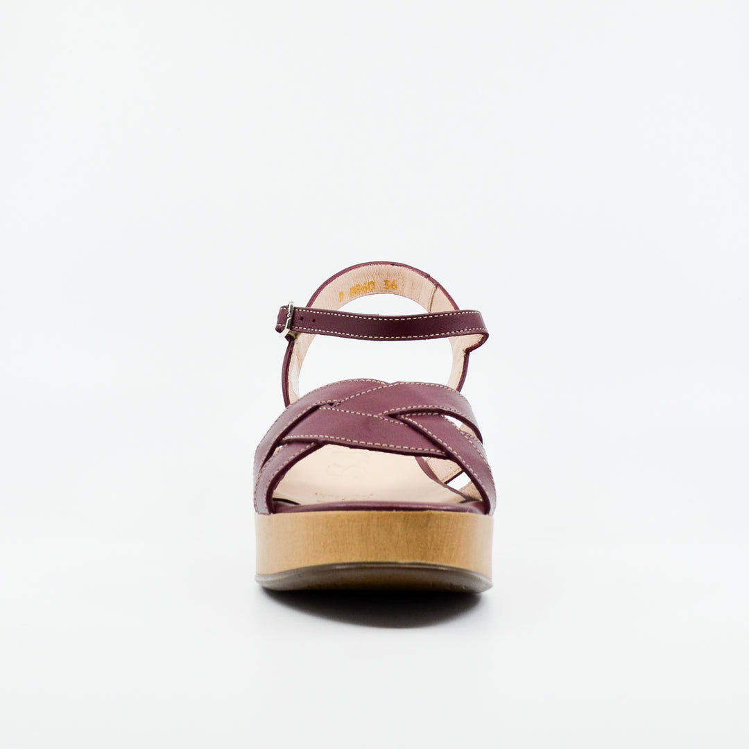 Wonders D-8860 vino