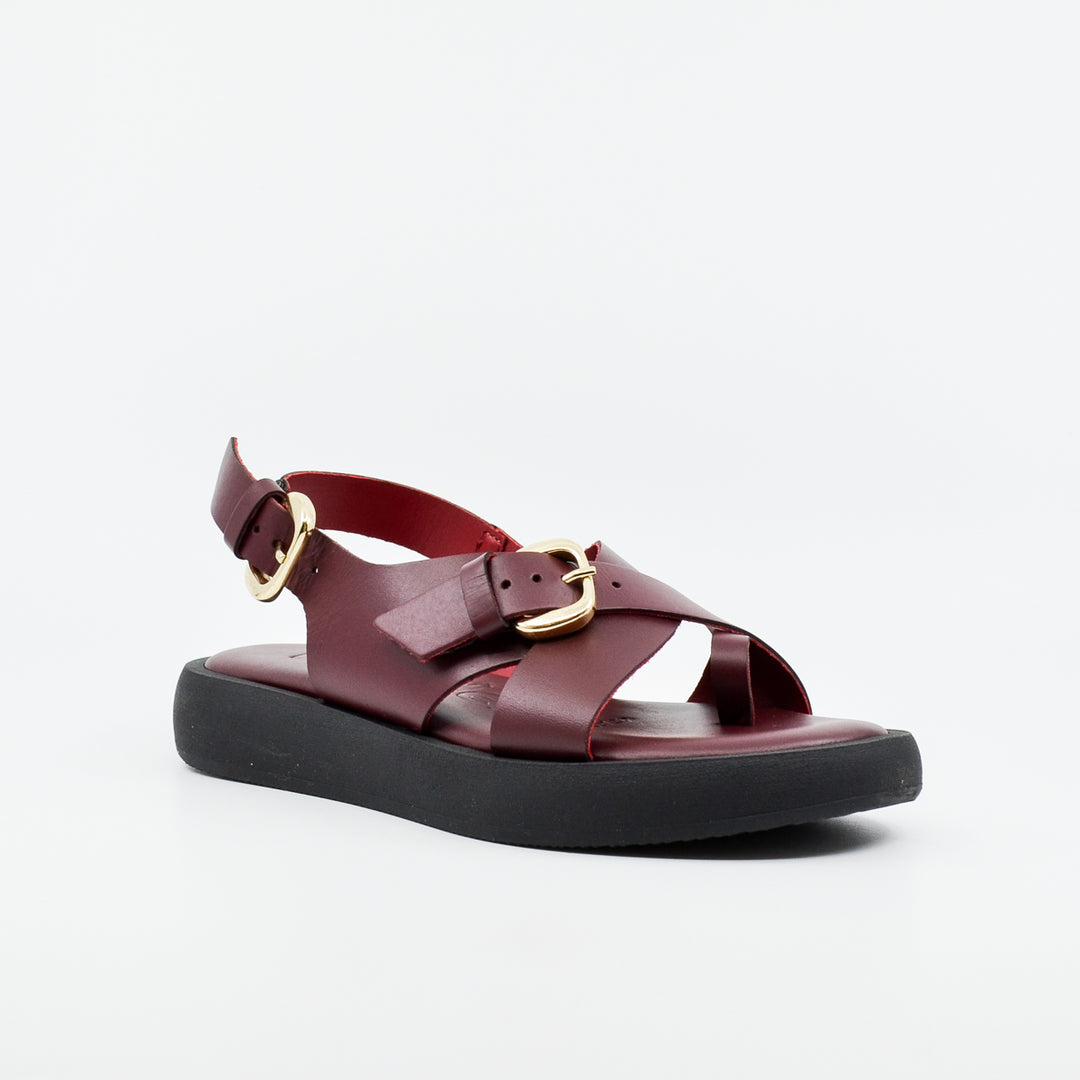 Wonders AB-1332 vino