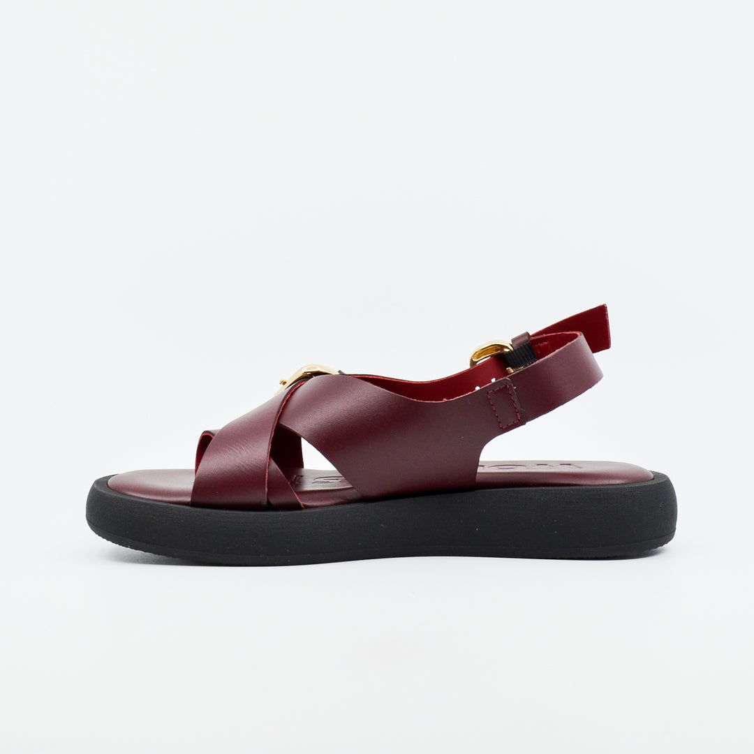 Wonders AB-1332 vino