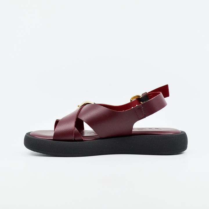Wonders AB-1332 vino