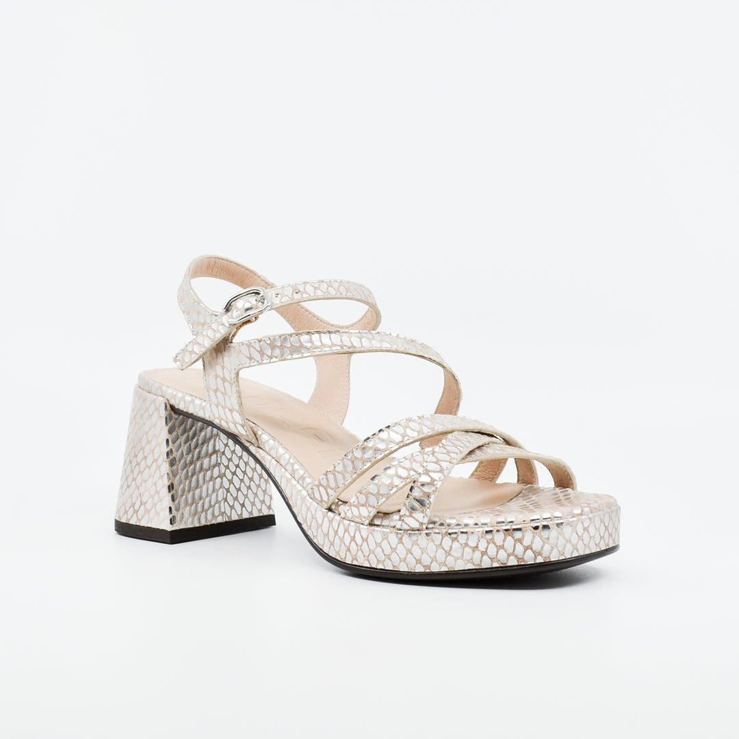 Wonders G-6821 silver croc