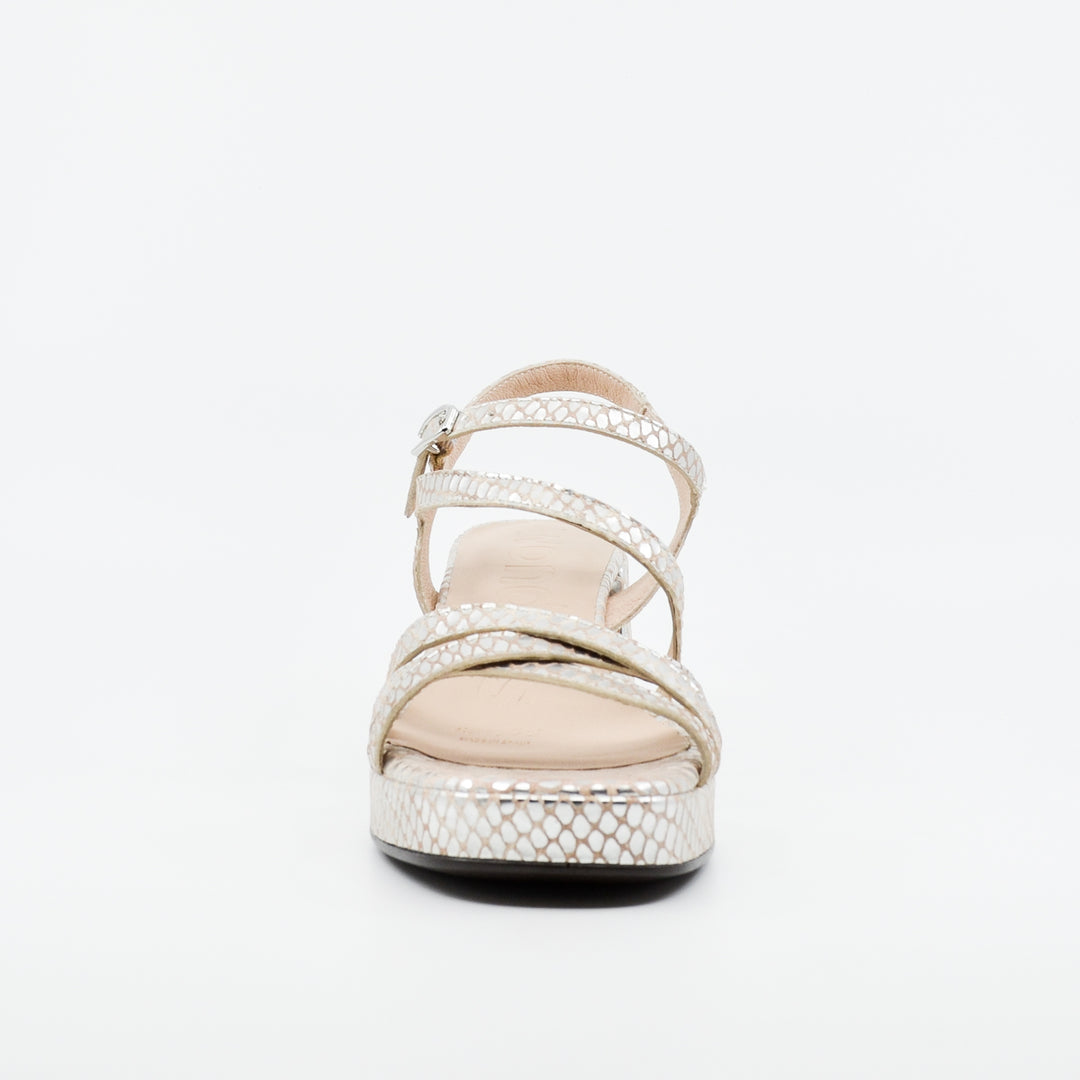 Wonders G-6821 silver croc