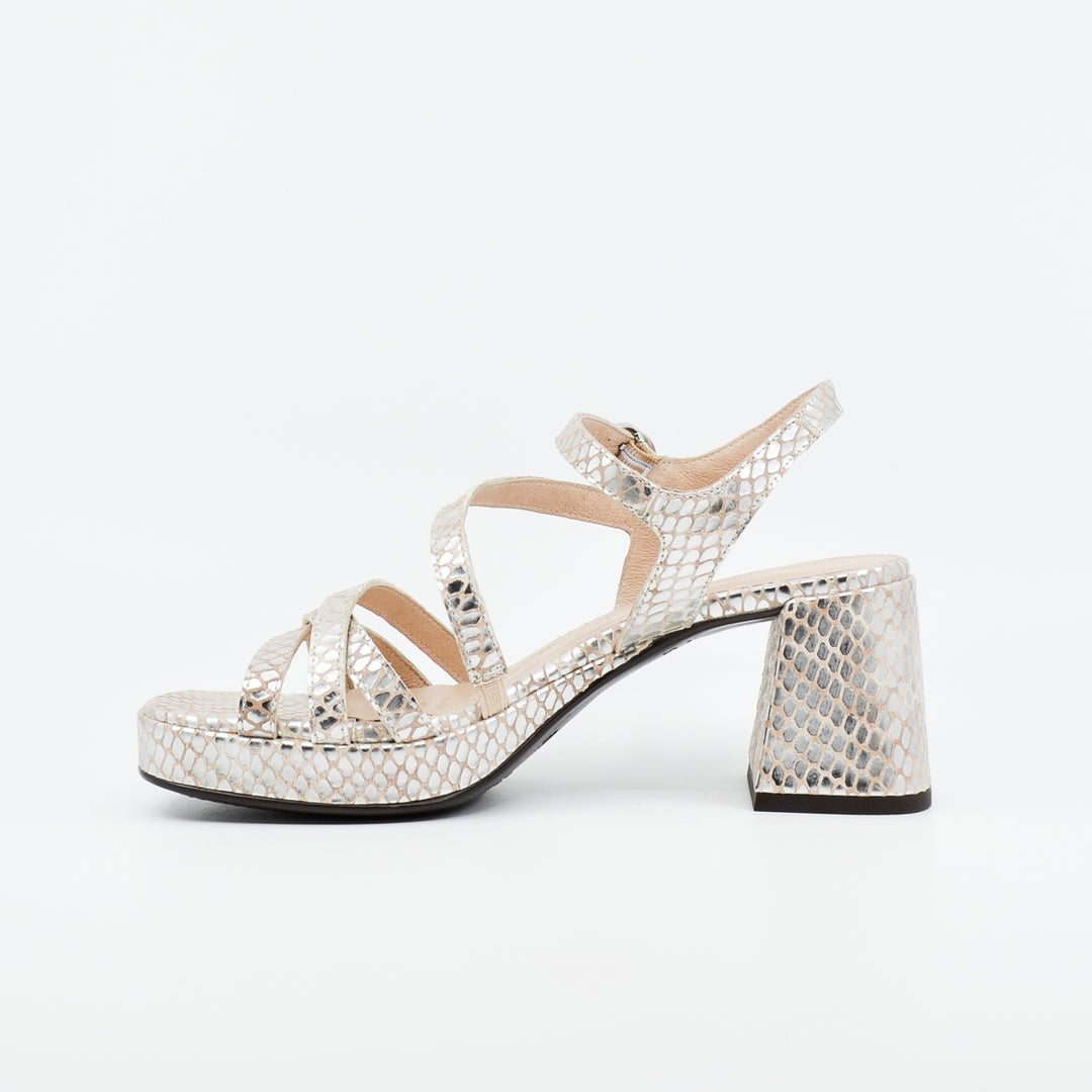 Wonders G-6821 silver croc