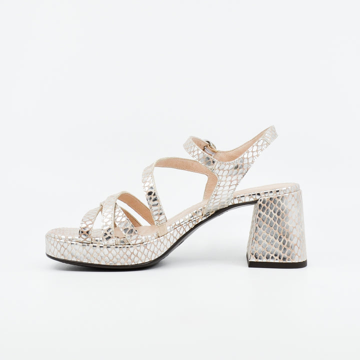 Wonders G-6821 silver croc