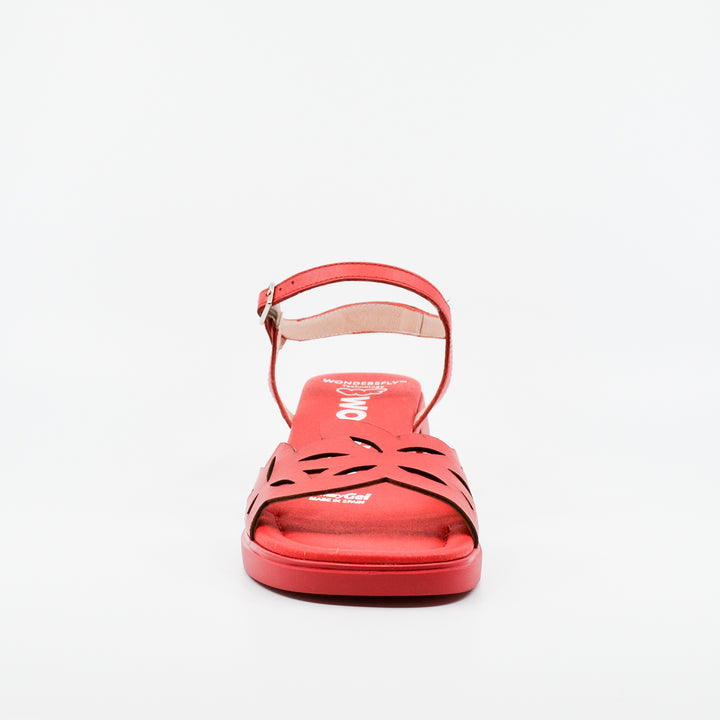 Wonders D-2301 red