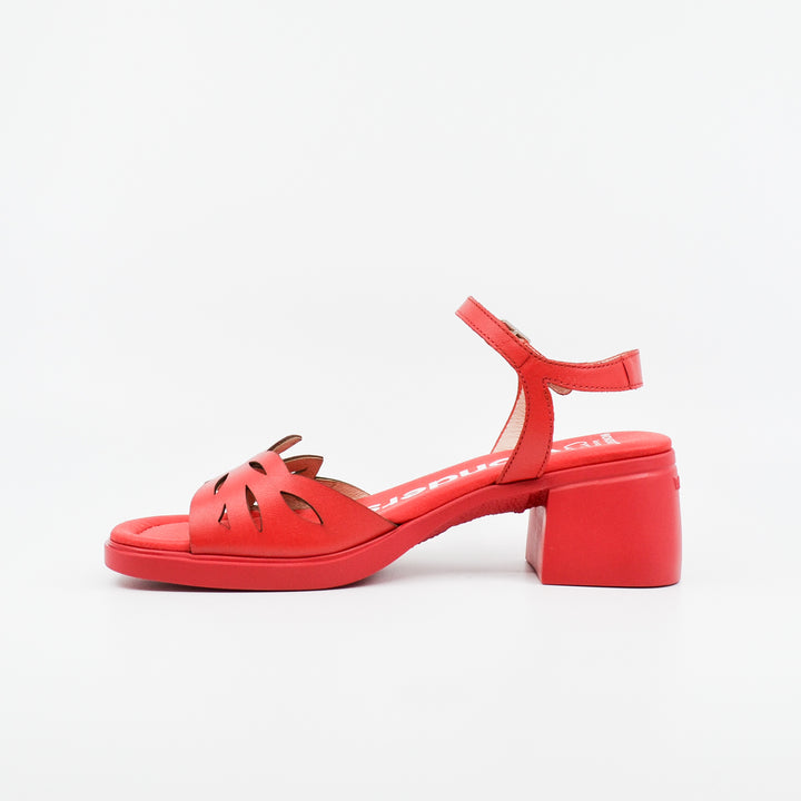 Wonders D-2301 red