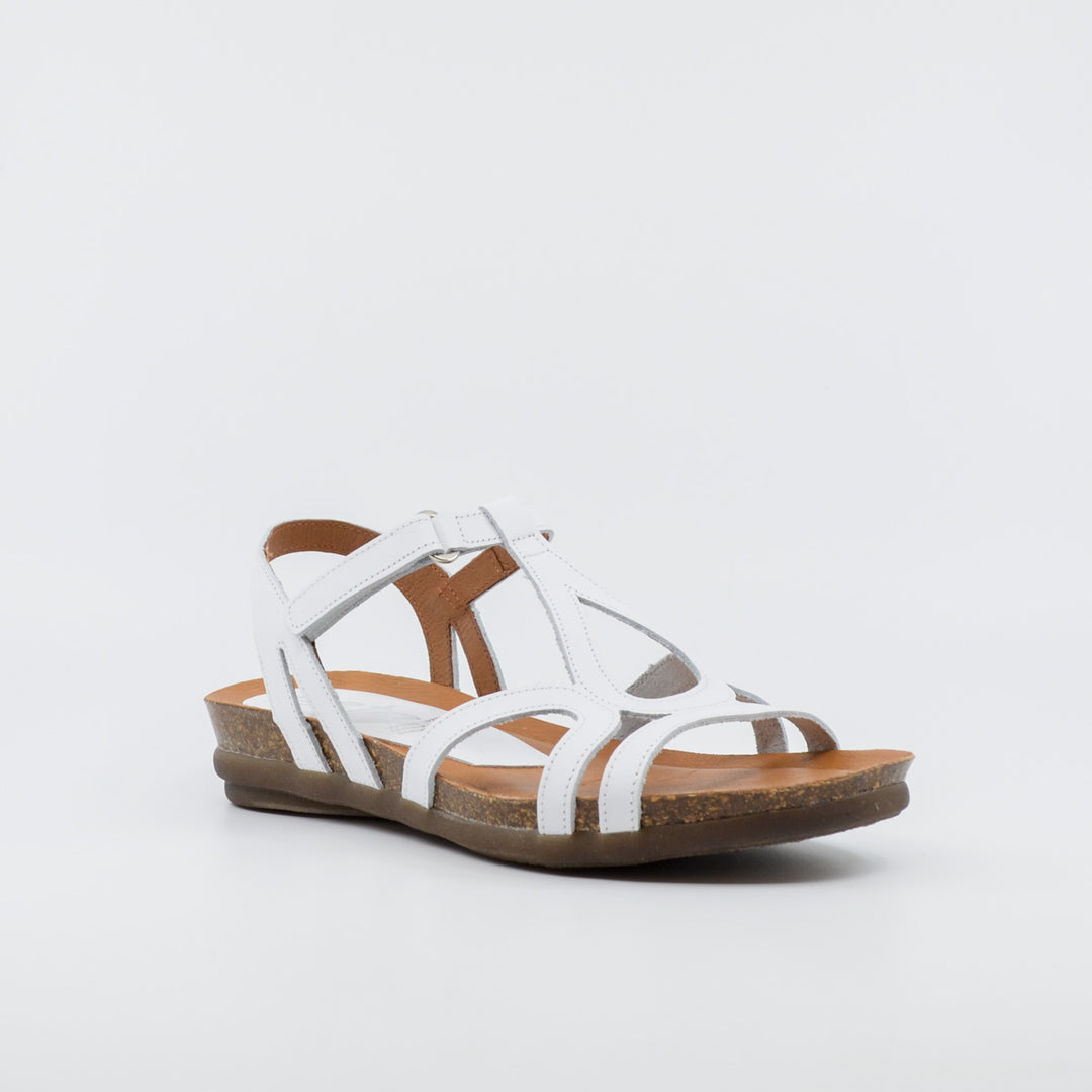 Zeta Rapt white