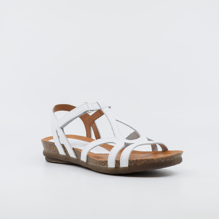 Zeta Rapt white