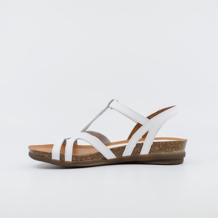 Zeta Rapt white
