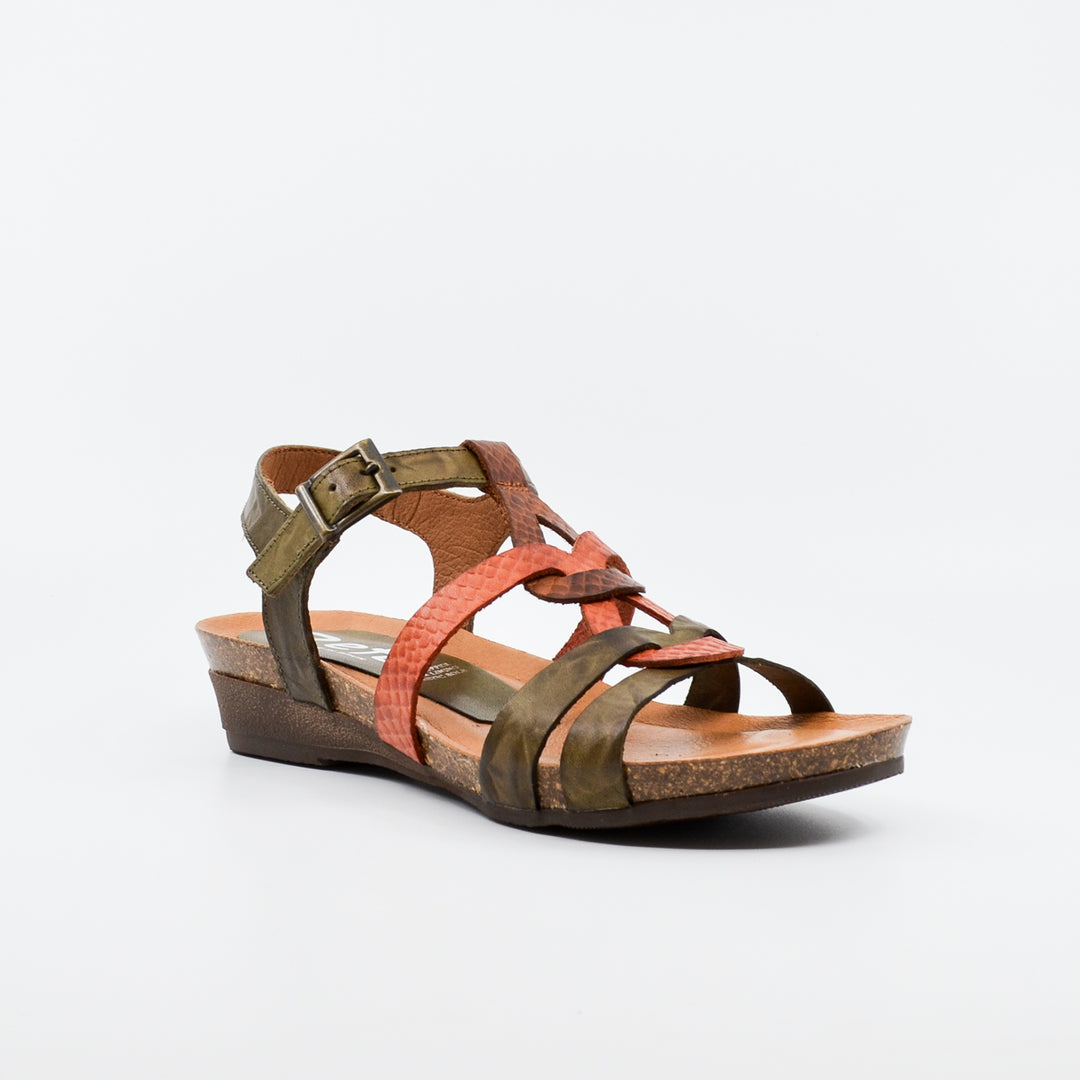 Zeta Optics kaki & coral