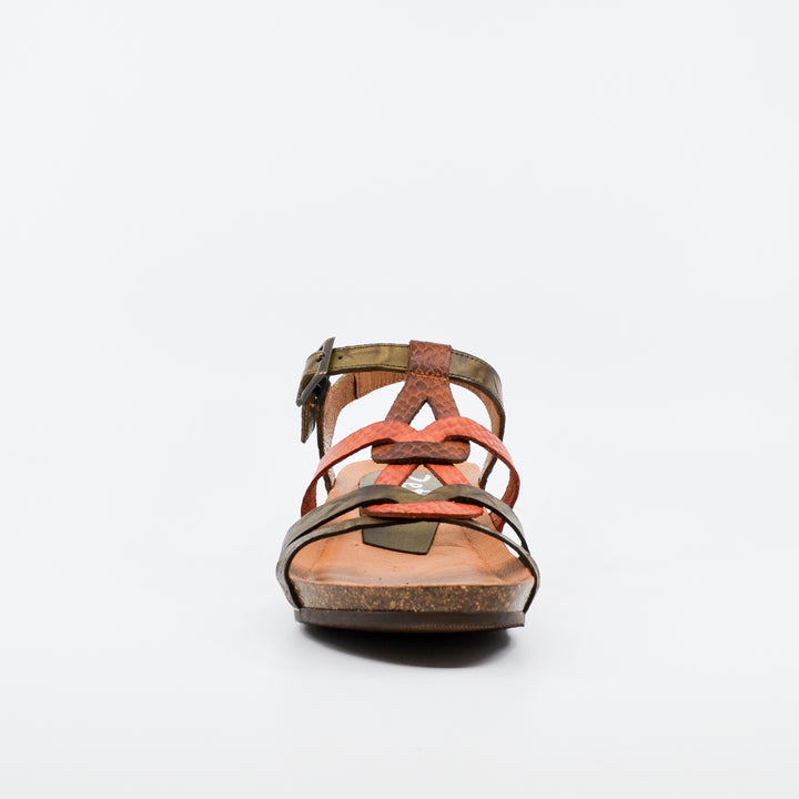 Zeta Optics kaki & coral