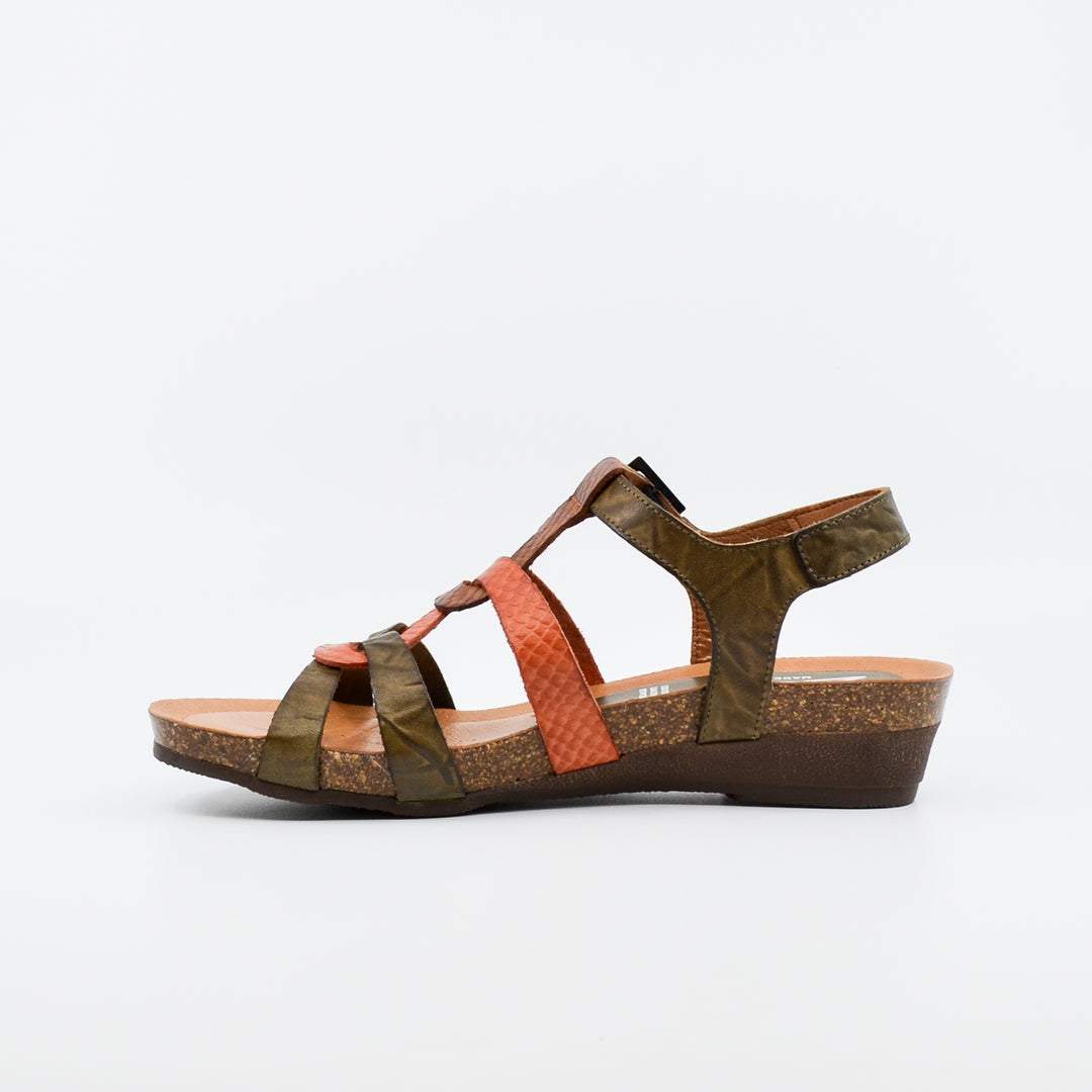 Zeta Optics kaki & coral