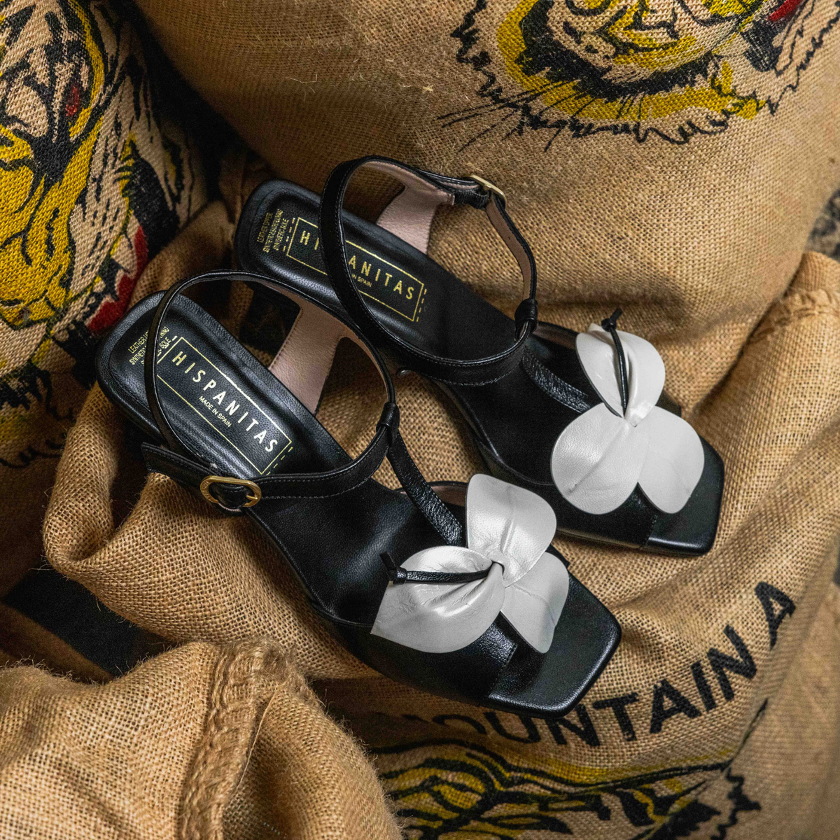 Good shoe 2025 websites for heels